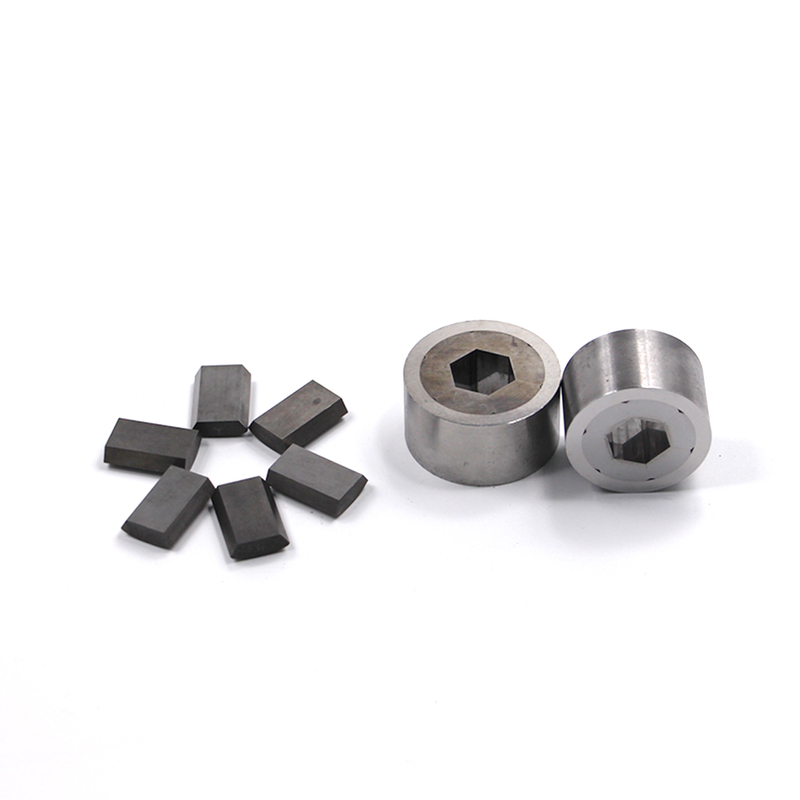Résistant à la fatigue thermique pour l'acier au carbone inoxydable Forge à froid à chaud Modules remplaçables Facilité d'entretien